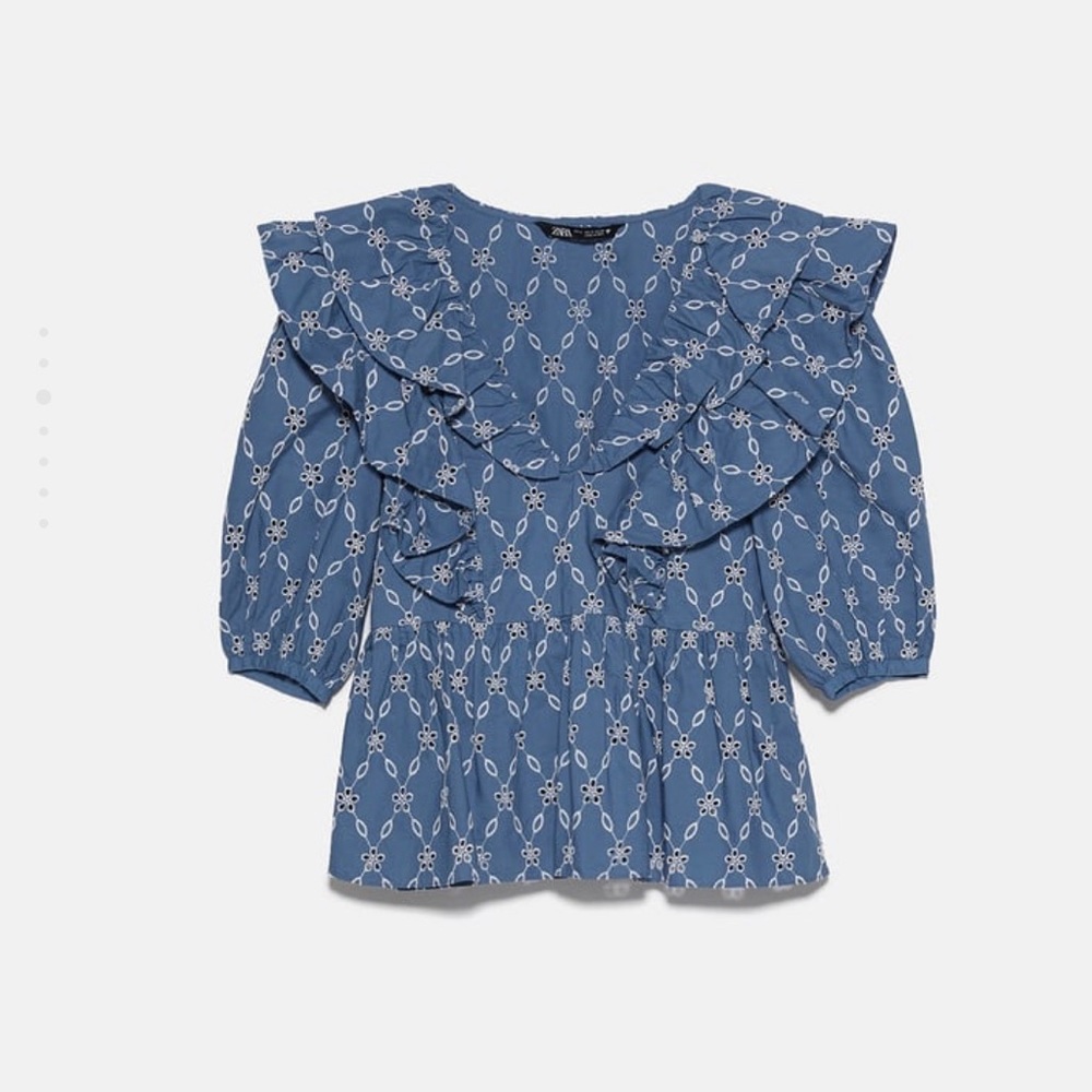 Zara Embroidered Puffy Sleeve Top